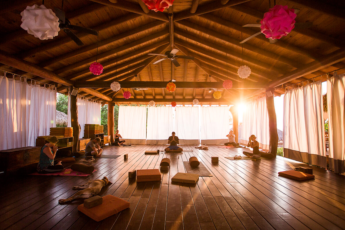 Amazing Meditation Spa Retreats
